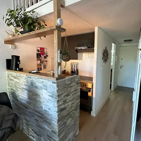 Duplex Meuble Avec Terrasse Dans Avec Piscine Apartment