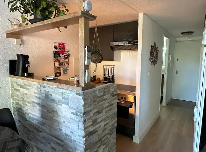 Duplex Meuble Avec Terrasse Dans Avec Piscine Apartment