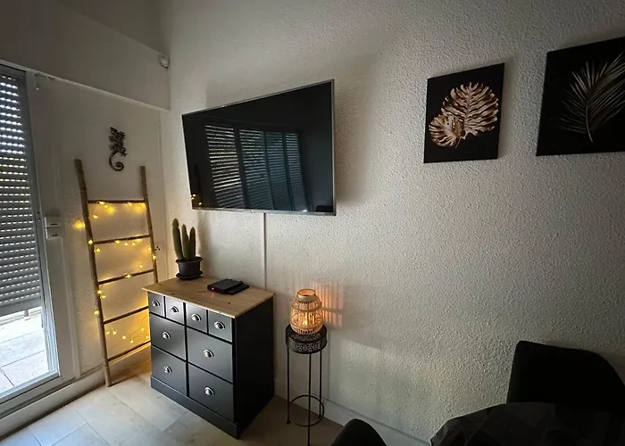 Duplex Meuble Avec Terrasse Dans Avec Piscine Agde