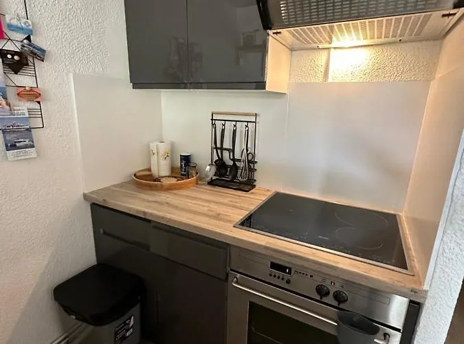 Duplex Meuble Avec Terrasse Dans Avec Piscine Apartment