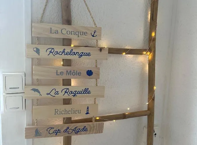 Duplex Meuble Avec Terrasse Dans Avec Piscine Agde